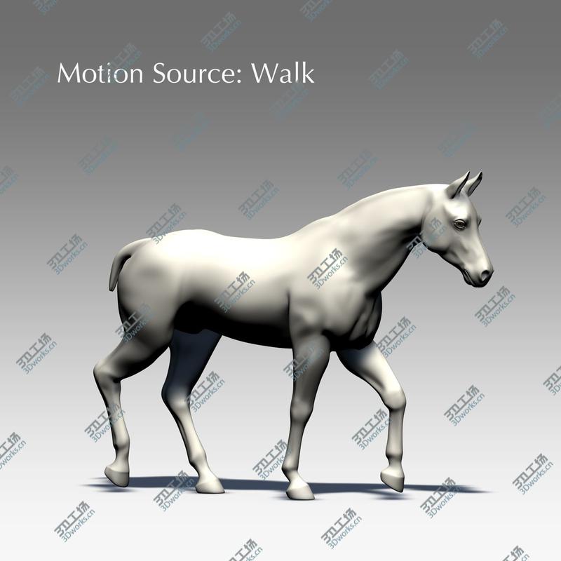 images/goods_img/20210113/Rigged and Animated Horse/5.jpg